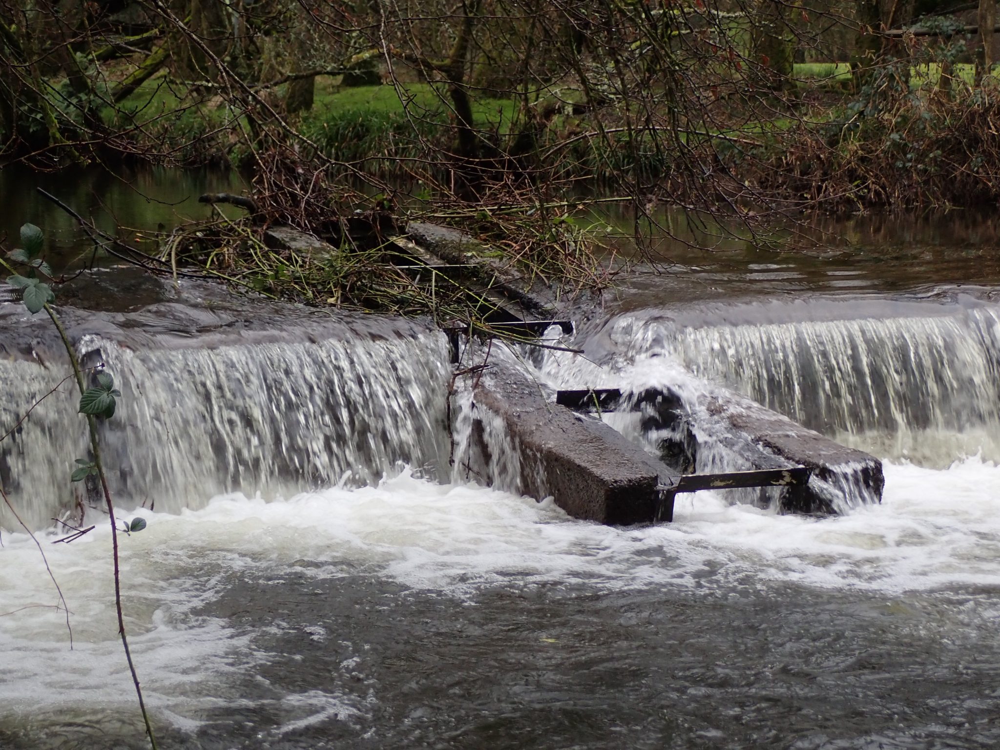 River Restoration Project | Afonydd Cymru