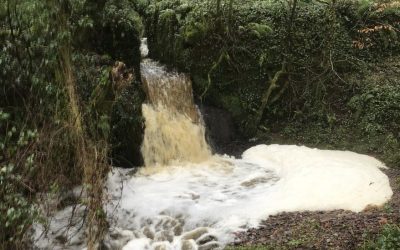 River pollution: Shake-up call for investigations in Wales
