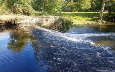 River Restoration Webinar