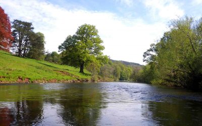 Latest Phosphorus Source Modelling Published for Four Welsh SAC Rivers