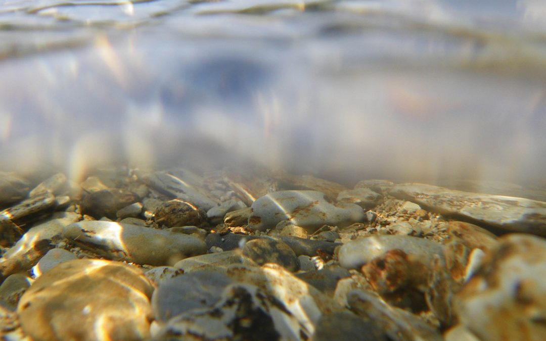 Second River Water Quality Summit Announced By Welsh Government