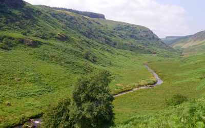 NRW Core Management Plans For Welsh Rivers Not Fit For Purpose
