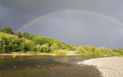Ofwat’s Big Opportunity To Help Rivers In Wales