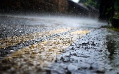 New Report Into Road Runoff