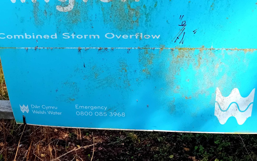 2023 Storm Overflow Data – Beyond The Headlines