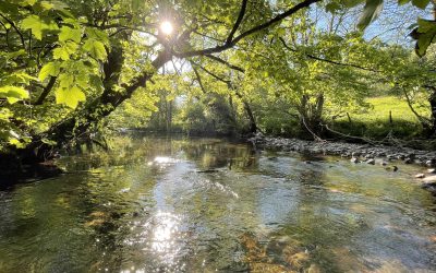 Want to Help Restore Welsh Rivers?